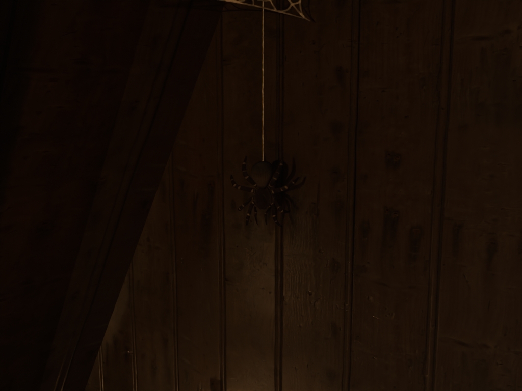 Spider